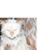 Megan Ranson Lee's profile image