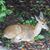 Amy Gragg Johnson Flack's profile image