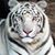 Antlatica Stars's profile image