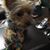 Prissy Dupre Mceachern's profile image