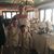 Jillyan Rutledge Pritt's profile image