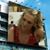 Marlena Gardner's profile image