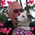Randy Mapel's profile image