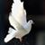 Oluwole Thompson Solomon's profile image
