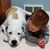 Donna Meister's profile image