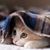 Illiana Martinez's profile image