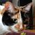 Catherine Webb's profile image