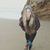 Kristin Haley's profile image