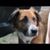 Duane Lindbuchler's profile image