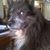 Andrea Mast's profile image