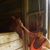 Peggy Greer-Walker's profile image