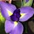 Linda Johnson's profile image
