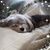 Marilyn Murtos's profile image
