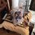 Christine Lesniak's profile image