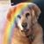 Amy Elizabeth's profile image