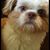 Scott Young's profile image