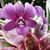 Eileen Fostel's profile image