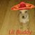Rita Nielsen's profile image