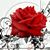 Losiram Siul's profile image