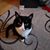 Linda Wood Tenney's profile image