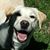 Patsy Dockery's profile image
