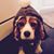 Misty Fischer Gage's profile image