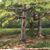Lucienne Cruvellier's profile image