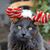 Amy Vollmer's profile image
