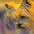 Janice Costner Artidiello's profile image