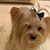 Sylvia Hall McLean's profile image