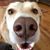 Sonya McClung Barefoot's profile image