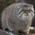 George Grote's profile image