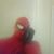 Jamie Duster's profile image