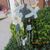 Judie Hirschman's profile image