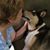 Kathy Steinman-Ritter Bowman's profile image