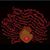 Valerie Cogdell's profile image