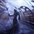 Mark Moody's profile image