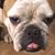 Lisa Stotts Wise's profile image