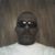 Dwayne Jackson's profile image