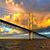 Tammy Frownfelter's profile image