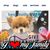 Gail Stewart's profile image