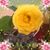 Elizabeth Long's profile image