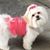 Renee Phillips's profile image