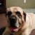 Janelle Schatzinger's profile image
