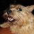 Sherry Drummond-Moss's profile image