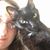 Leslie Marie's profile image