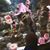 Emmie McKay Sawyer's profile image