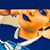 Yaitza Diaz's profile image