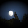 David R.'s profile image