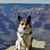 Stufkin von Stoofenpooper's profile image